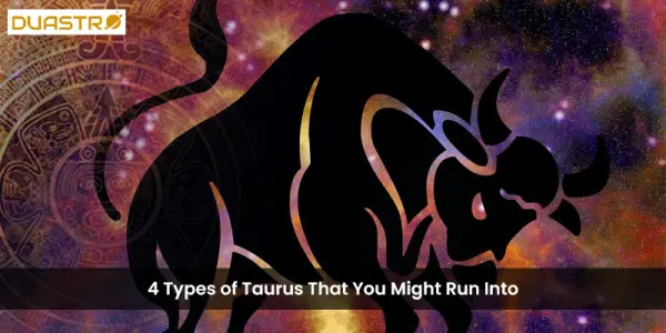4 Types of Taurus That You Might Run Into